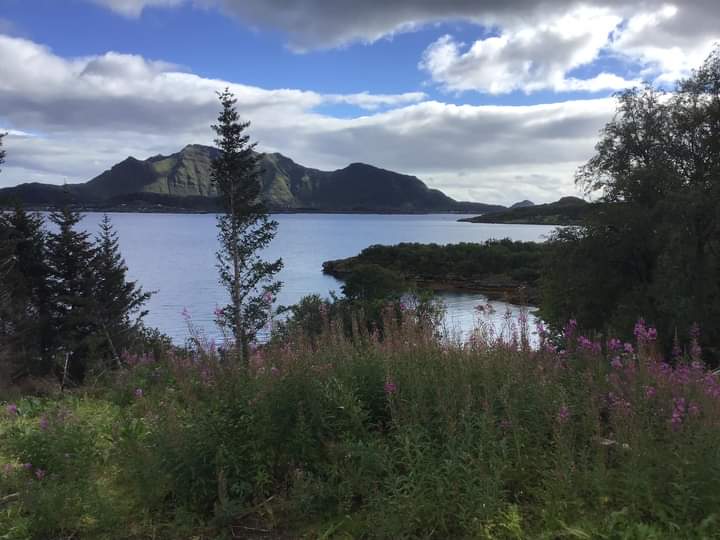 TerryWhenham's tweet photo. Something special about walking in the Norwegian countryside training for @Soldierscharity. Very cold but the air is so clean. #FrontlineWalk https://t.co/ZvbNS4Q80B