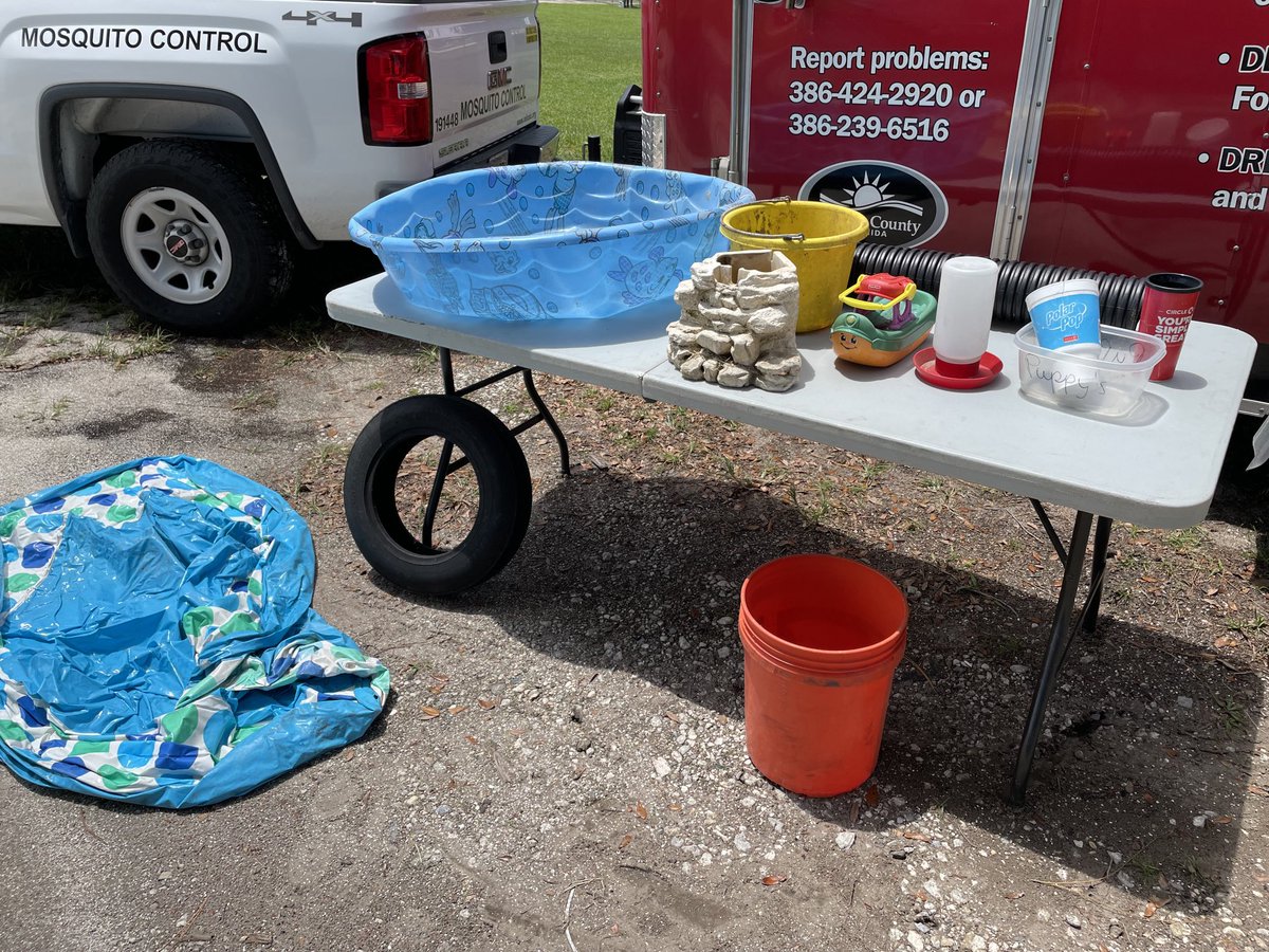 VCMosquito's tweet photo. Do any of these items look familiar?
During home inspections these types of items are commonly found to be producing biting mosquitoes! 🦟
All it takes is a bottle cap sized amount of water for mosquito larvae to thrive.
#FightTheBite #TipnToss #MosquitoEducation https://t.co/ndhyNMA3sC