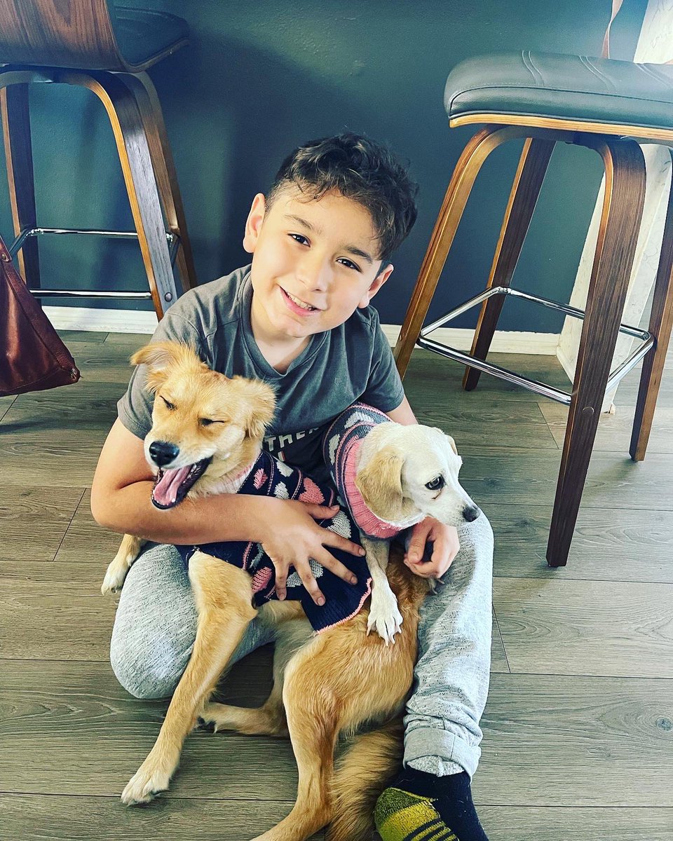 ErikaMJimenez's tweet photo. Smile, itβs Tuesday! Your smile will give you a positive countenance that will make people feel comfortable around youβ¦ #thegodson #ourlittleman #misssandyandmisslily πΆπΆπΆ #tuesdayvibe https://t.co/cdO3of2p3x
