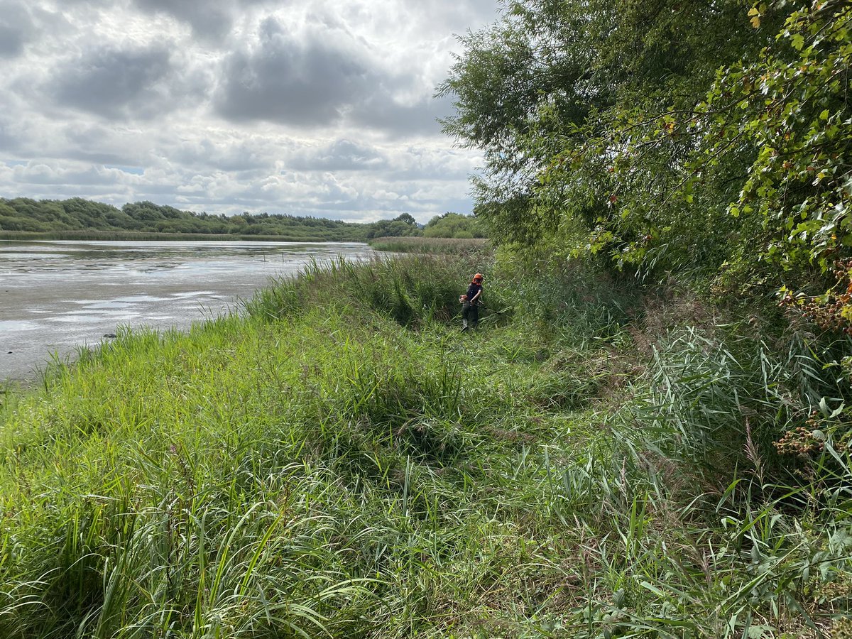 andysims4049's tweet photo. Reed cutting at the mere. Thanks to @WhisbyNatureRes @emilyksum @Chris2Grimshaw &amp; Tony Todd for all their hard work. @LincsWildlife @Lincsbirding https://t.co/xEj0BnKrgj