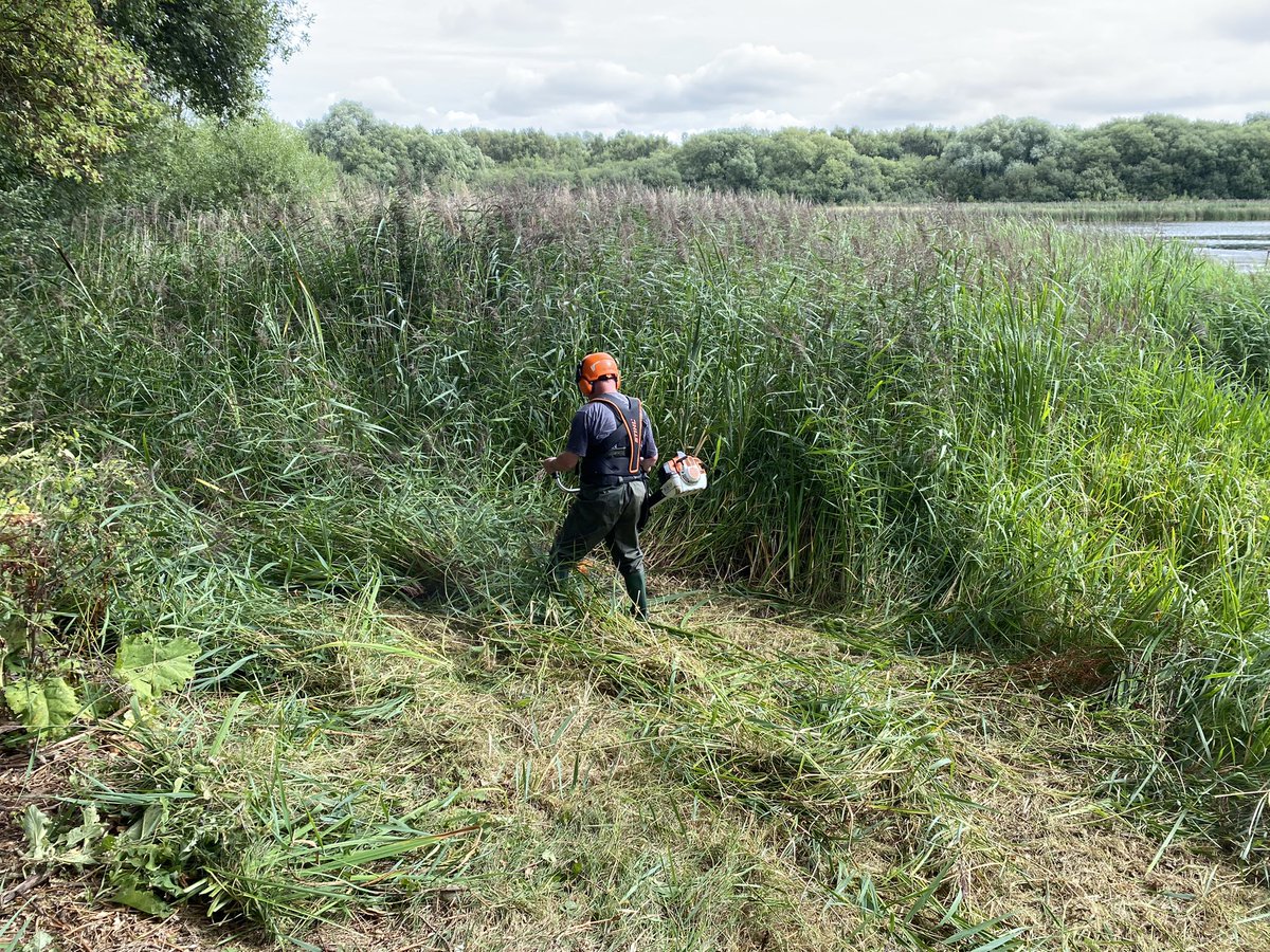 andysims4049's tweet photo. Reed cutting at the mere. Thanks to @WhisbyNatureRes @emilyksum @Chris2Grimshaw &amp; Tony Todd for all their hard work. @LincsWildlife @Lincsbirding https://t.co/xEj0BnKrgj