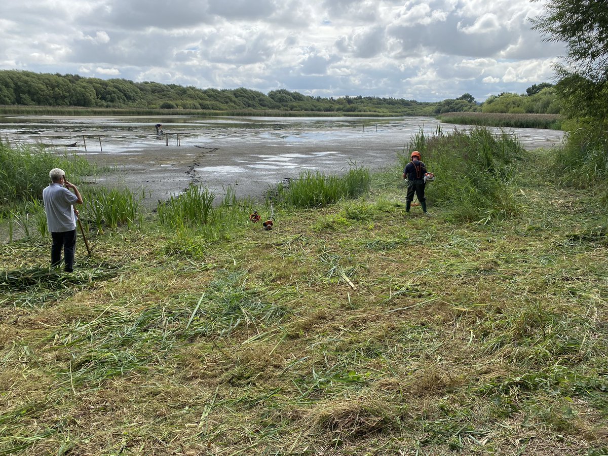 andysims4049's tweet photo. Reed cutting at the mere. Thanks to @WhisbyNatureRes @emilyksum @Chris2Grimshaw &amp; Tony Todd for all their hard work. @LincsWildlife @Lincsbirding https://t.co/xEj0BnKrgj