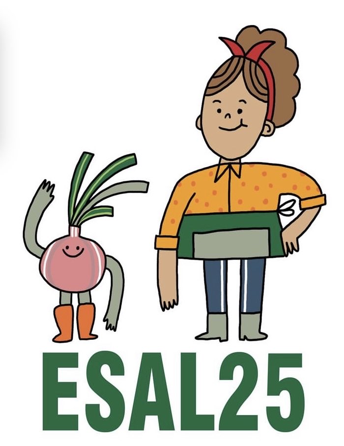 SalConce tweet media