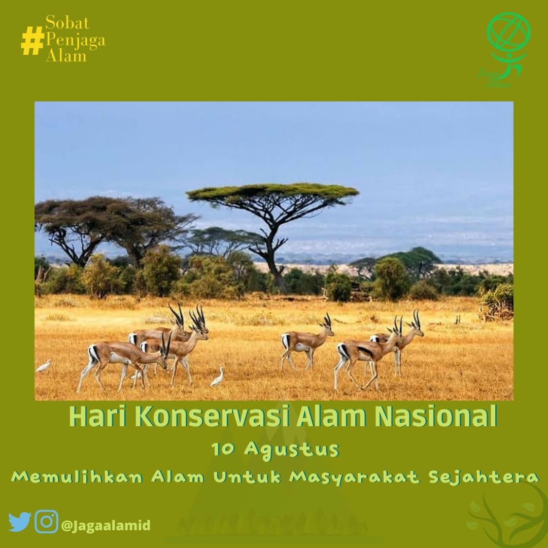 Konservasi sebagai suatu keharmonisan antara manusia &amp; alam. Perlunya manusia melestarikan alam bukan hanya sekedar melindungi dirinya sendiri, melainkan mampu menyelamatkan semua aspek keanekaragaman hayati dalam ekosistem. #HKAN2022 #HariKonservasiAlamNasional #SobatPenjagaAlam