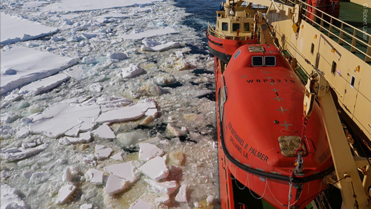 CORDIS_EU's tweet photo. Understanding the past of #Antarctic ice sheets can provide invaluable information on future:
🌊 global sea fluctuations,
🔄 ocean circulation and
🌤️ #climate.
🧐 This #EUfunded research on the Ross Sea continental shelf tells a cautionary tale 👉 https://t.co/F7vUCIAse8 https://t.co/UiVdsCFEO7