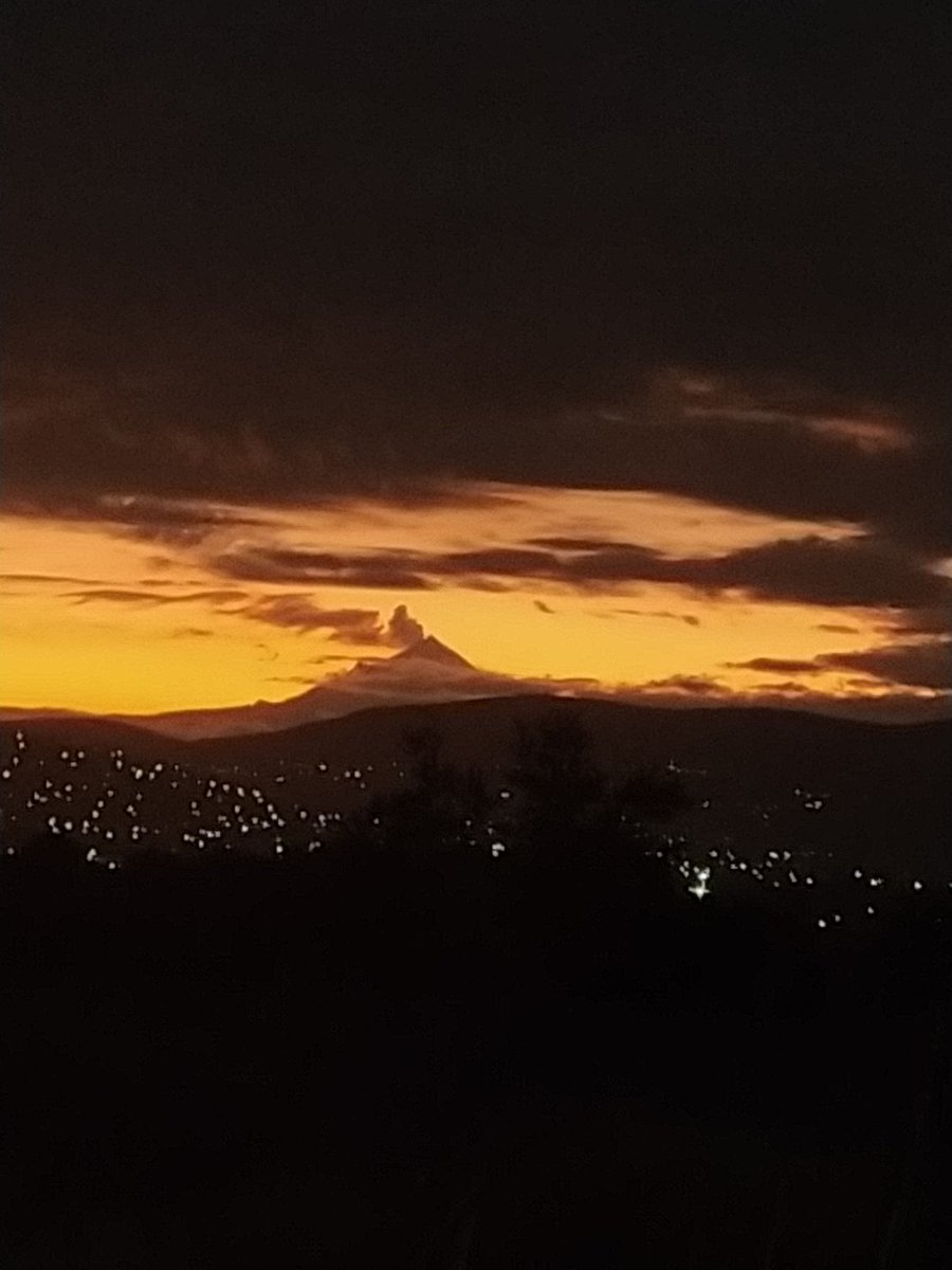 maluchi2401's tweet photo. Buenos días..!🤩 https://t.co/jFSZKx3GHs