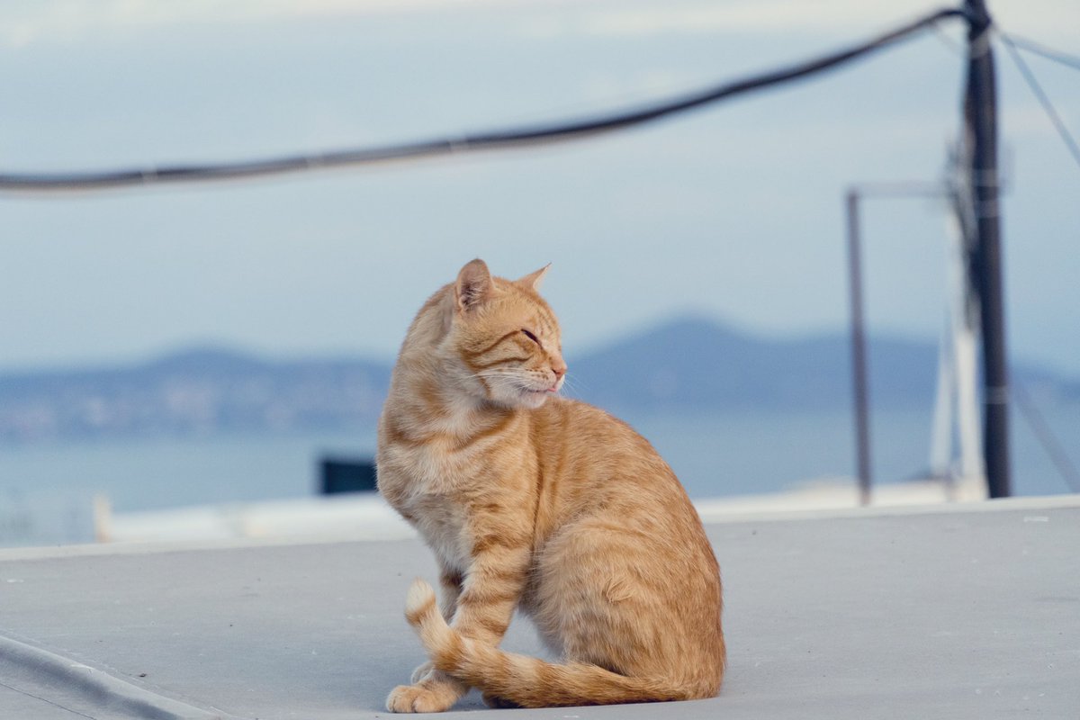 These last two months I’ve been out of commission while I finish my residency application in Turkey. It’s not over quite yet, but I’m getting CLOSE. 

I’ve missed you all ❤️

I will be back…I will be BACK!