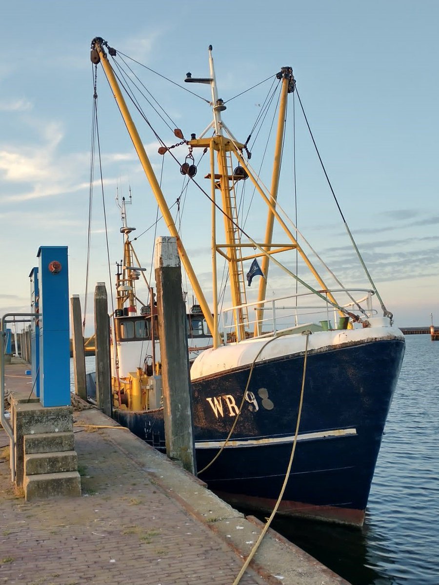 LuytGroep's tweet photo. Our home fleet is eager to make a good impression during the ‘Flora festivities’🐟🎏🌺
This also applies to the ‘Else Jeannette’ WR-98 owned by André & Daan Hermans. One of the oldest vessels of the #Wieringer fleet (built in 1961 & still fishing), moored alongside for small jobs https://t.co/pWgEy8GxJ4