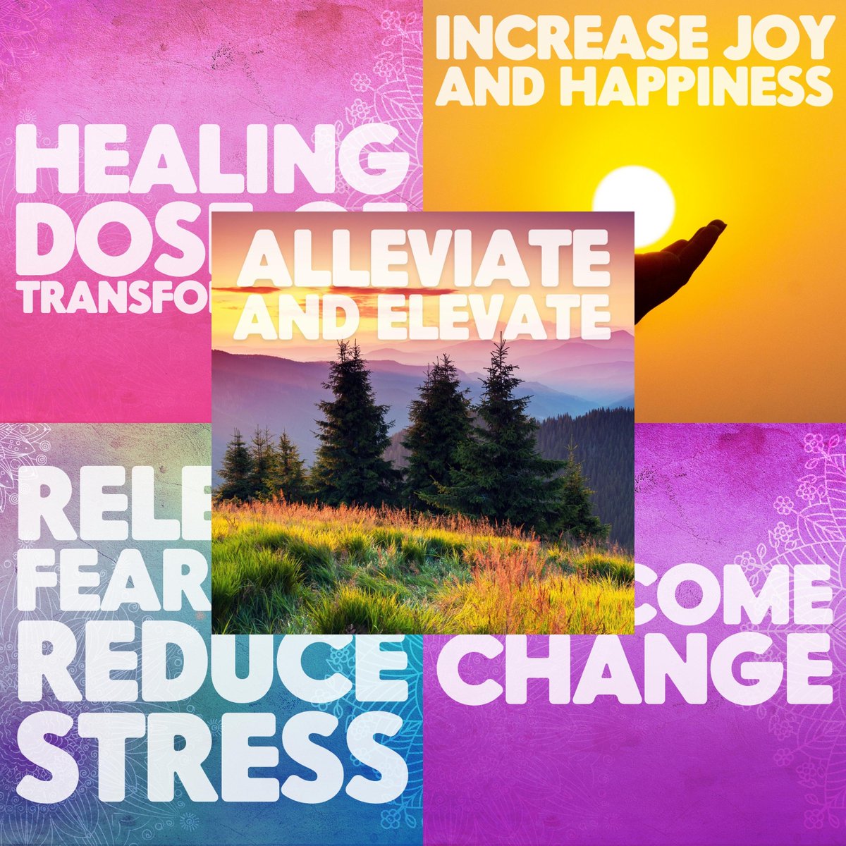 ThinkrootRecord's tweet photo. "I LOVE Kara Square’s Thinkroot Meditation music. It often moves me to tears, whether it contains healing frequencies or not. Just the energy Kara focuses into her tracks is enough to move me." —Sue from @selflovefocus1 

Hear the music Sue loves: https://t.co/MNZOGIXZtk https://t.co/yROpeTUw4E
