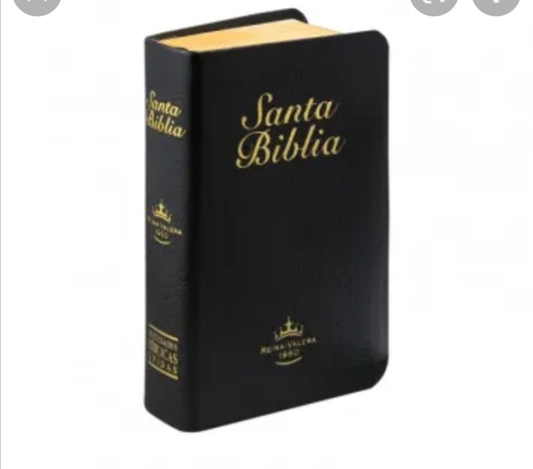 Claudia Bastidas tweet media