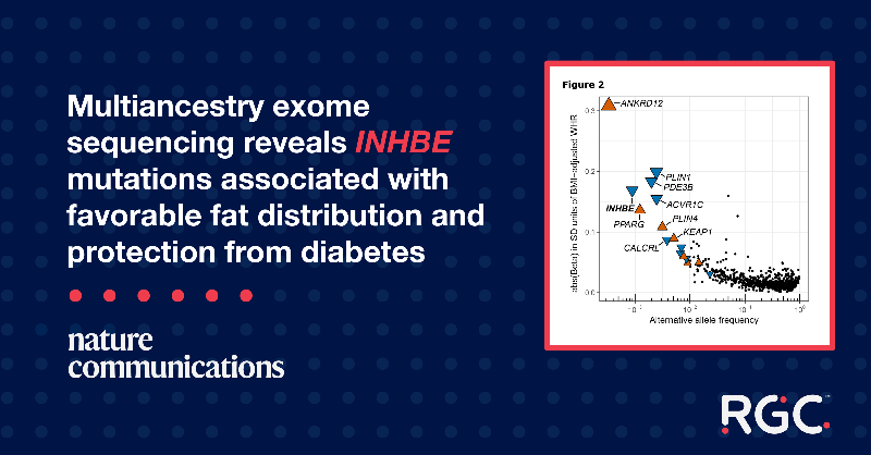 RegeneronDNA's tweet photo. RGC strikes again: Our team studied exomes from 600K+ individuals across 5 ancestries and uncovered mutations in a liver-specific gene called INHBE that were associated with favorable fat distribution and protection from type 2 diabetes. Read the full story @NatureComms.