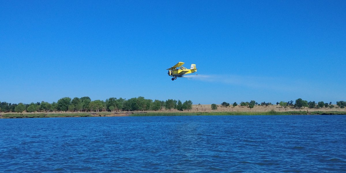 Luke Loken tweet media