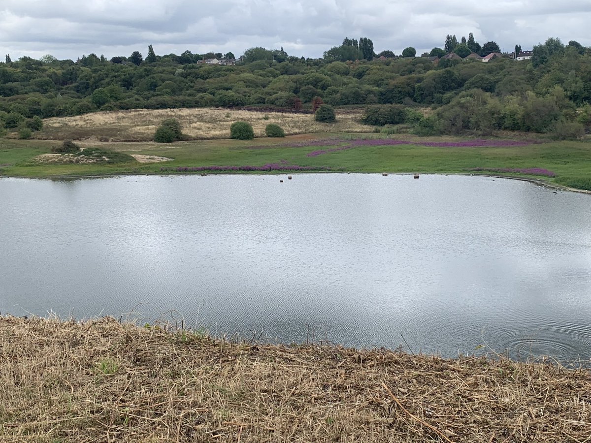 neillcrump's tweet photo. Lunchtime walk with colleague led to some good ideas on digital and improvements. Back to hospital revitalised and with some actions to take !
#WeActiveChallenge #managersactive https://t.co/KcTFx93CIS