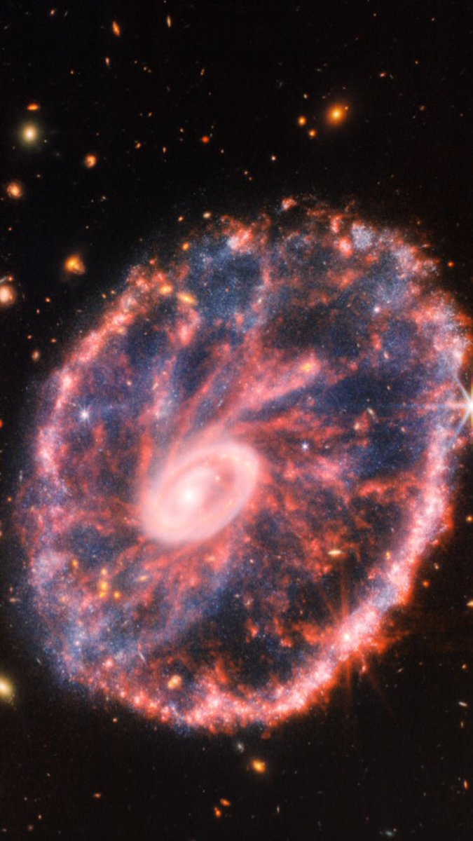 shannonmstirone's tweet photo. Our universe is so beautiful https://t.co/PVgKiD2OeK