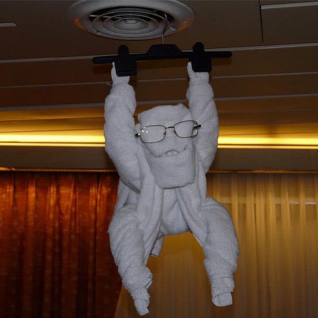 through_al's tweet photo. It’s back2back TOWEL ANIMAL TUESDAY time!#travel #cruising #cruiselife #cruise #Carnival #cute #MardiGras #monkey #smiling #TowelAnimal #RCL #RoyalCaribbean #TowelAnimalTuesday #cruiseship #Caribbean #Towel #Fun #Norwegian #memories #tradition #CruisingThroughLifewithAlandJeannie https://t.co/k8aBg9TdX7