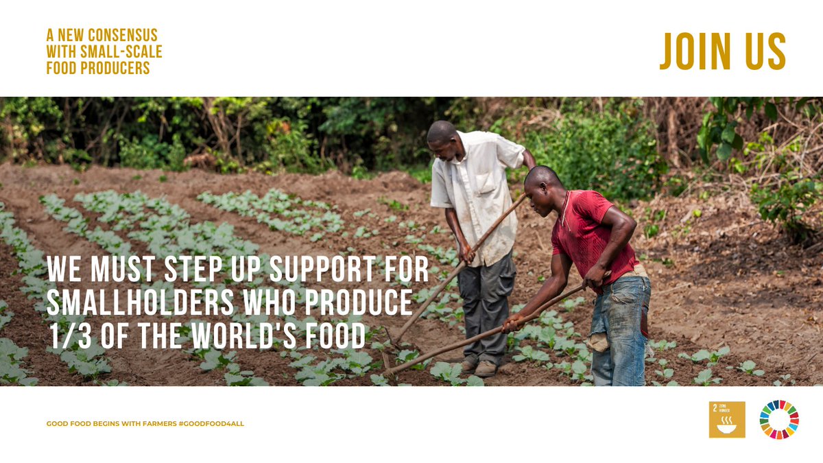 SDG2AdvocacyHub's tweet photo. The first 3⃣calls to action of the #NewConsensus with Small-Scale Food Producers address the theme👇
 
💪Power and Priorities: How to create an equitable food system💪
 
➡️Tune in this week as we discuss all 8!
🔗https://t.co/PEj9wU99fJ https://t.co/qm9QpLWXsG
