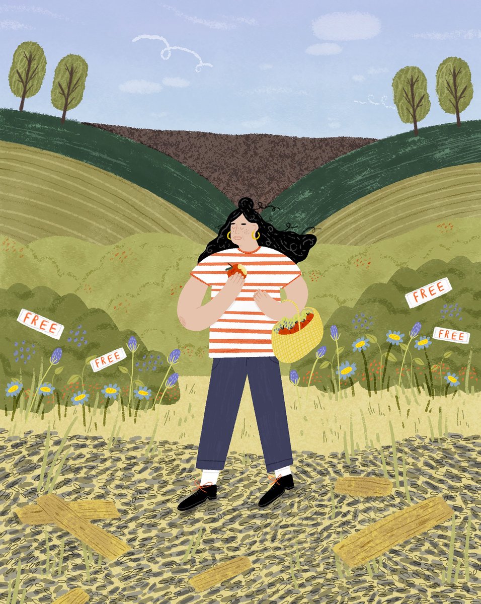 Connie Noble tweet media