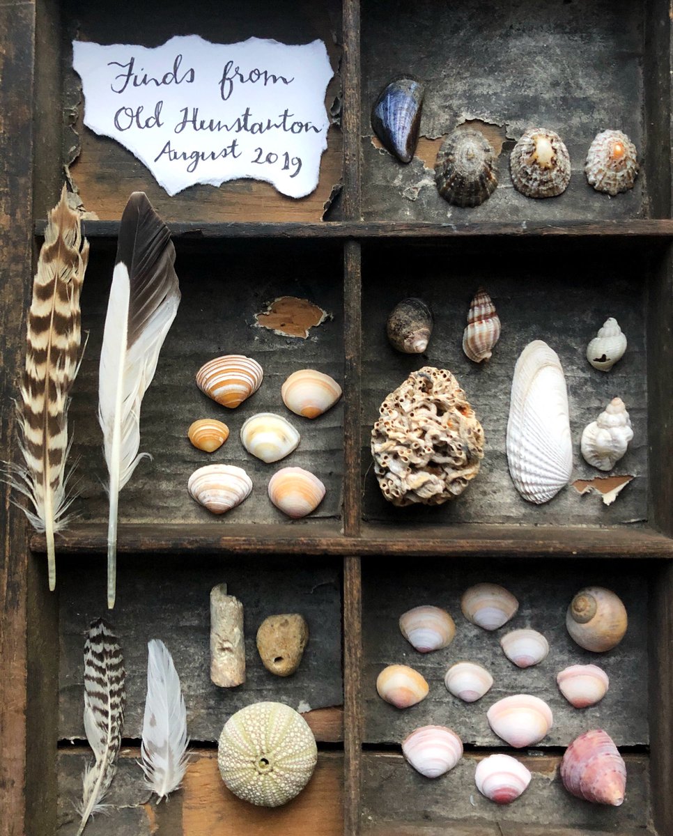 silverpebble's tweet photo. I've a favour to ask:

If you take a walk today pls collect some small lovely things*, bring them home,arrange them somewhere with natural light,write down where your walk was &amp; the date, put the label in the photo &amp; post it under this tweet. 

Thankyou 🌿
(not rare flowers obvs) https://t.co/F8nJyOc9Qz