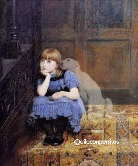 DiloConPerritos's tweet photo. Siempre voy a estar cuidándote aunque ya no esté presente. https://t.co/AMMIvCqjPV