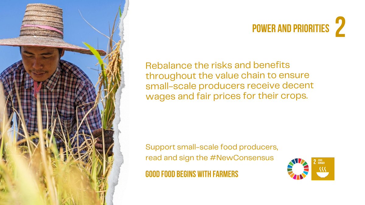 SDG2AdvocacyHub's tweet photo. Call To Action2️⃣:

Create equity in the🍲food system by balancing risks throughout the value chain and paying fair prices to farmers👩‍🌾
 
Read the full set of asks in the #NewConsensus
🔗https://t.co/PEj9wU99fJ https://t.co/zYAJ5txsfe