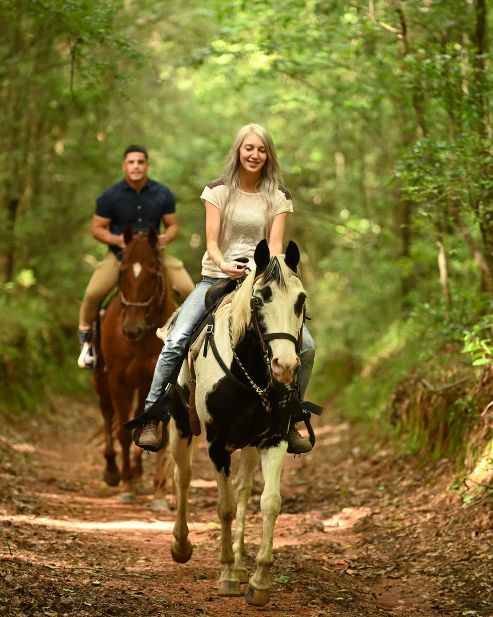 Explore Louisiana tweet media