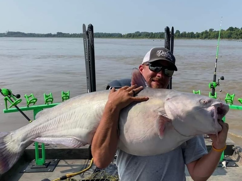CatfishNOW1's tweet photo. Shay McDonald is showing everyone how it’s done with his SmackDown Catfishing rod holders and MulTBar Rod Racks!
https://t.co/mmUgs8lnT9
#SmackdownCatfishing #SmackdownRodHolders #Catfish #Fishing #BuiltForTheBeast #Catfishing #CatfishNOW #MulTBarRodRacks #BlueCatfish https://t.co/XnT73hecke