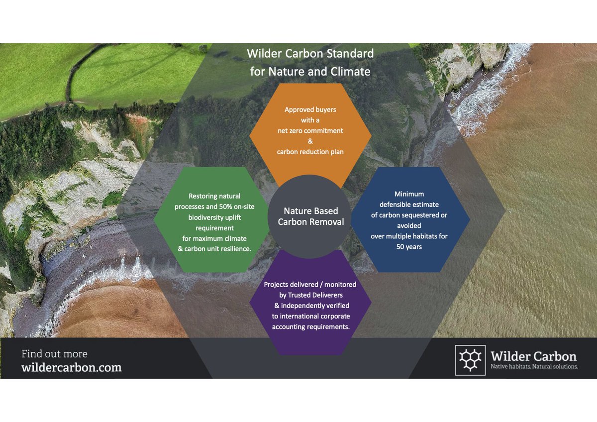 WilderCarbon's tweet photo. It's often hard to navigate the Voluntary Carbon Market (VCM) and know what a good carbon unit looks like. The #WilderCarbon Standards are underpinned by principles that assure end-to-end integrity.

Talk to us today to find out more https://t.co/vtX9nL0I2L

#highqualitycarbon https://t.co/9iKdg8tSJF