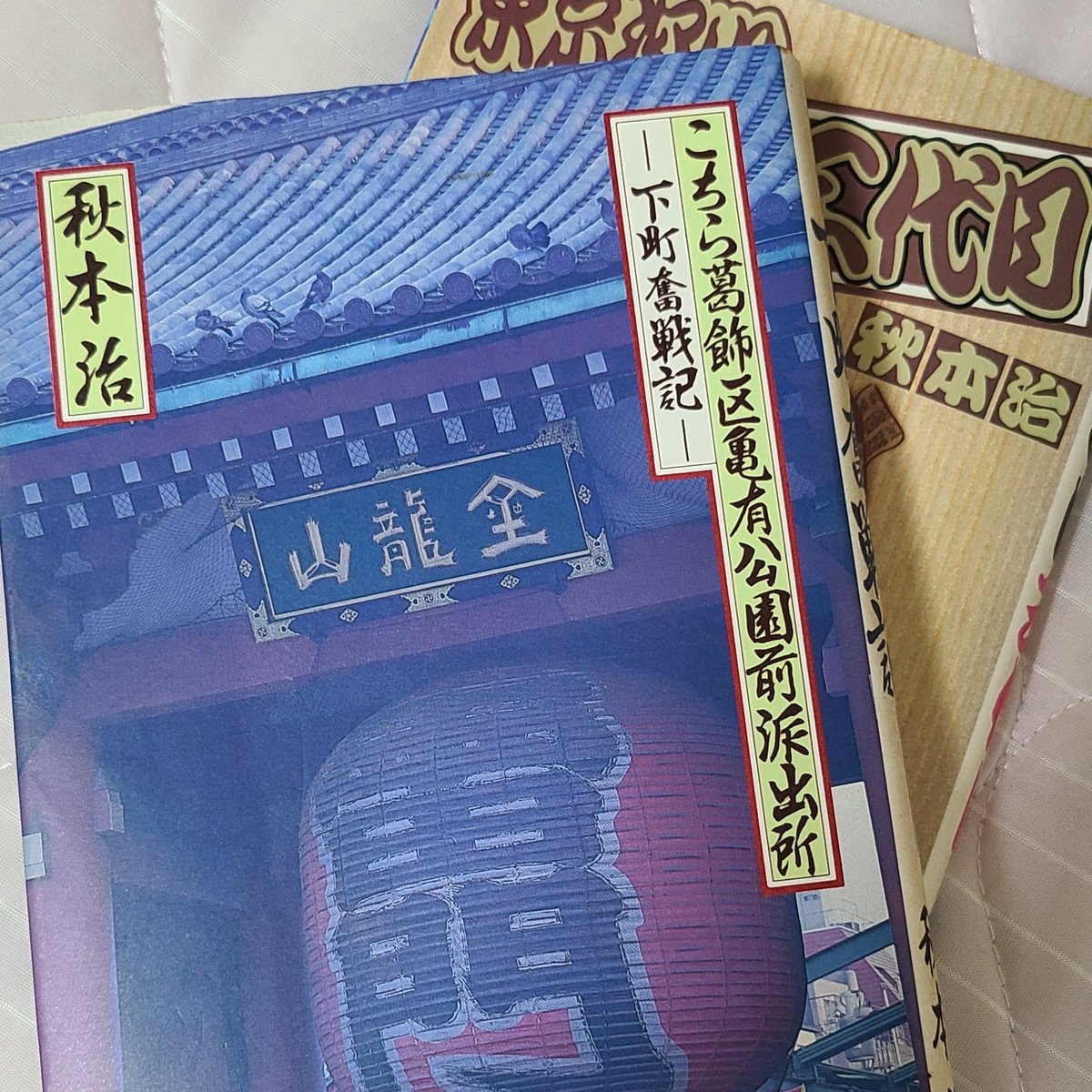 yo1_no's tweet photo. これは私のバイブル。どちらもめちゃくちゃデザインがいい🏮
あと初版だから今見ると値段が安くてびっくりしました https://t.co/7OfMOrBUxX