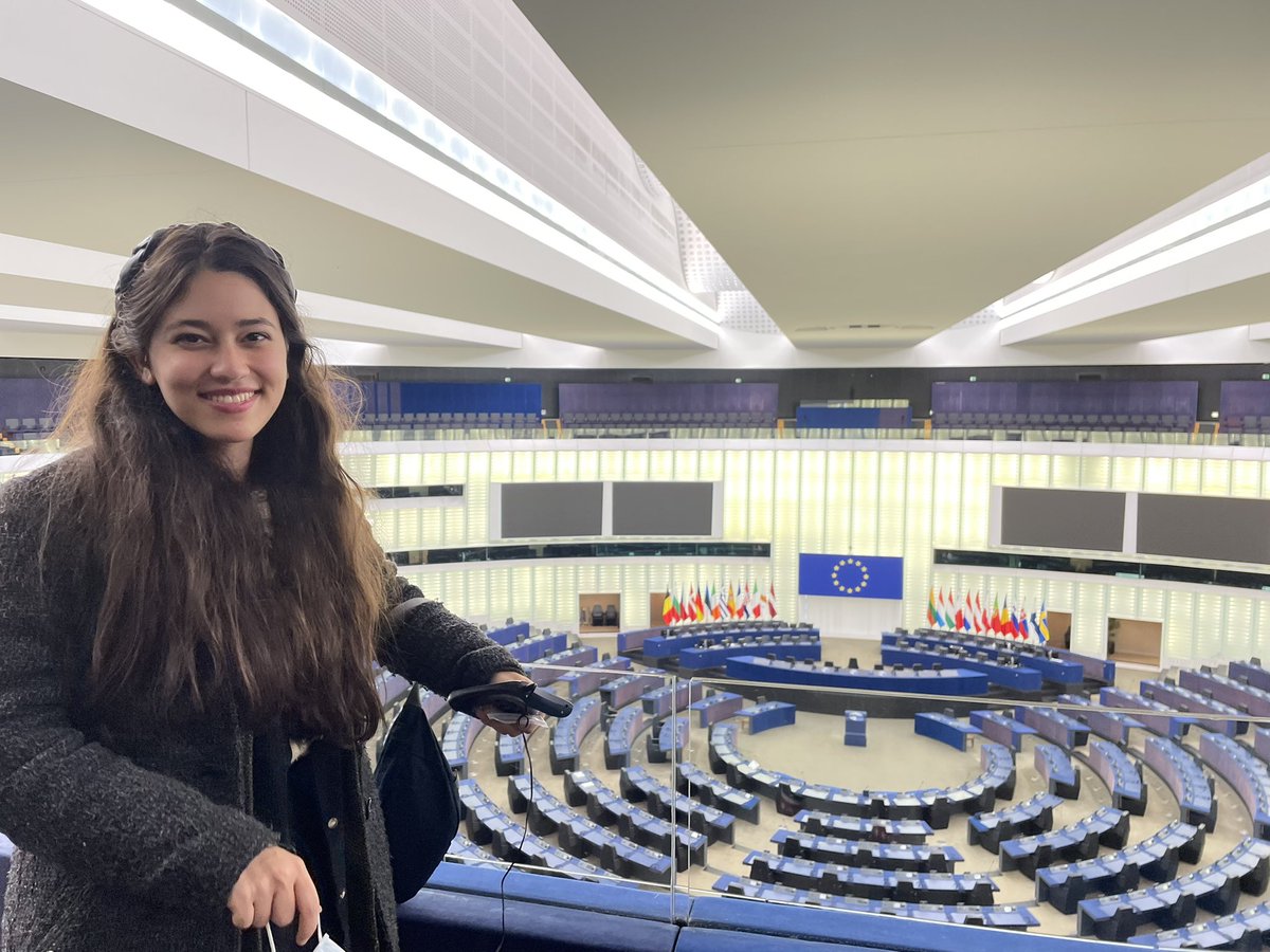 הדר מוכתר - Hadar Muchtar tweet media