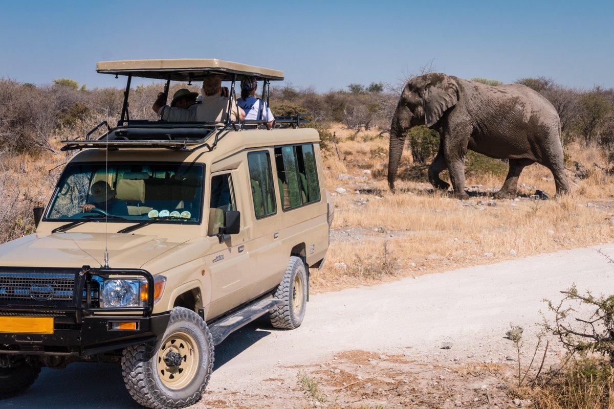 Guided 4x4 GROUP TOUR to EXPLORE NAMIBIA 🐘🦛🦏🐆🦓🦒

1st group tour:   26.11 - 10.12.2022
2nd group tour: 19.03 - 31.03.2023

14 NIGHTS GROUP TOUR HIGHLIGHTS:
Windhoek
Sossusvlei
Skeleton Coast
Twyfelfontein
Etosha
Waterberg

More information: explore-namibia.com/private-guided…