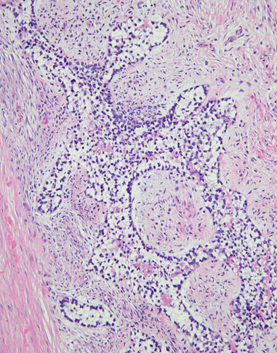 DavidSusterMD tweet media