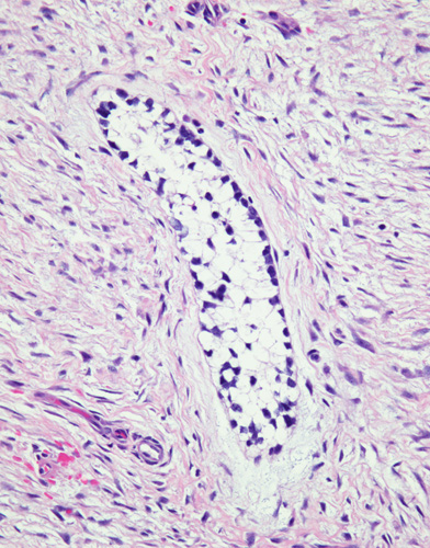 DavidSusterMD tweet media