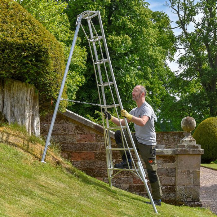 RobertKee_DL's tweet photo. Did you know we stock a full range of Hendon Tripod Platform and Adjustable Ladders? Ideal for those tall hedges and for use on uneven or sloped terrain 👌 Plus we offer Nationwide Delivery 🚛

#hendonladders #tripodladders #adjustableladder #gardenladder #gardening https://t.co/2Svr93RhiS