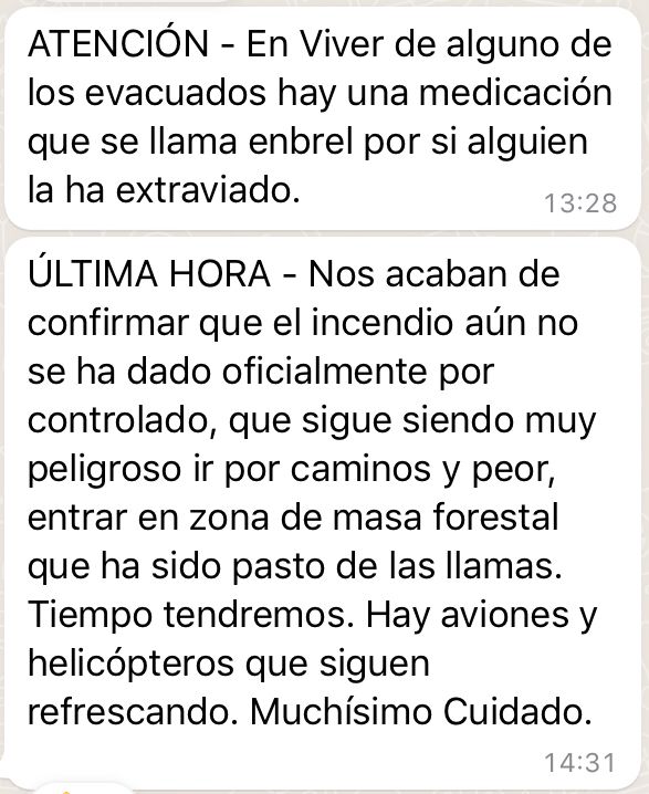 Torasisimo's tweet photo. El Alcalde de Torás informa📣📣 #toras #IFtoras https://t.co/t6sSbOIx6G