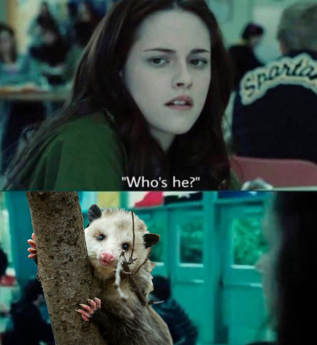 OKWildlifeDept tweet picture