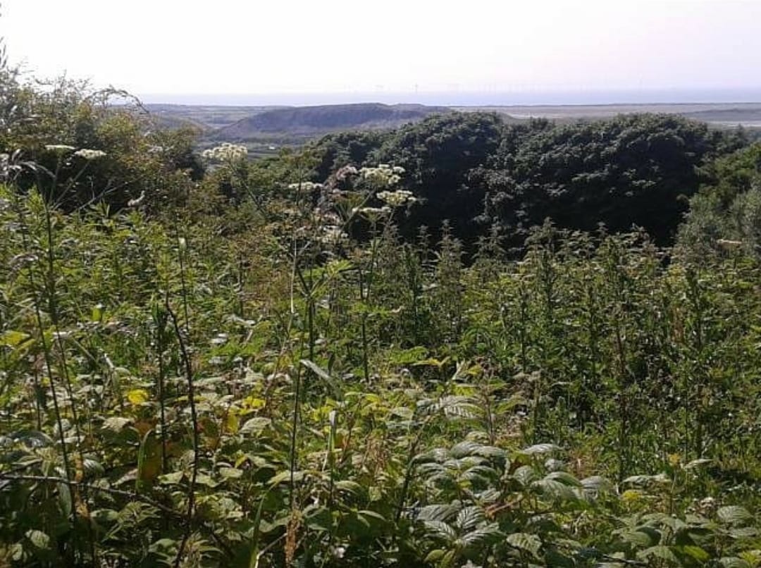 ThatTomAshton's tweet photo. RE: The Sun's article on Barrow in Furness, titled "Welcome to Hell". 
Barrow's had issues under Tory rule, like most UK working class towns, but it also has scenic coasts, an 11th c. abbey, an active arts/literary scene, and much more - it's far from hell. 
Please #dontbuythesun https://t.co/EgzXZtUjqj