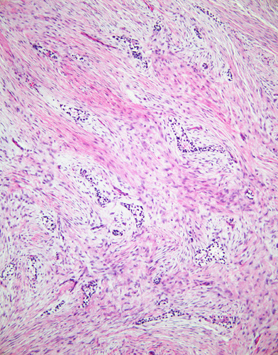 DavidSusterMD tweet media