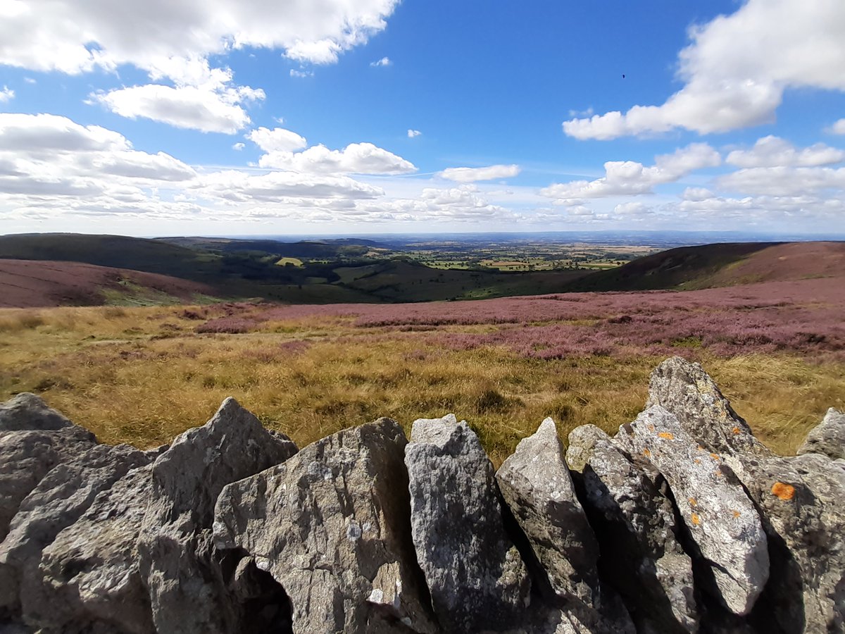 A lovely training walk up Black Hambleton this weekend! Getting ready for the Yorkshire 3 Peaks with <a href="/sashyorks/">SASH (Safe And Sound Homes)</a>  York next month 💪. Please donate to this excellent cause if you can! Thank you all for your support 🙌 justgiving.com/COMICresearch