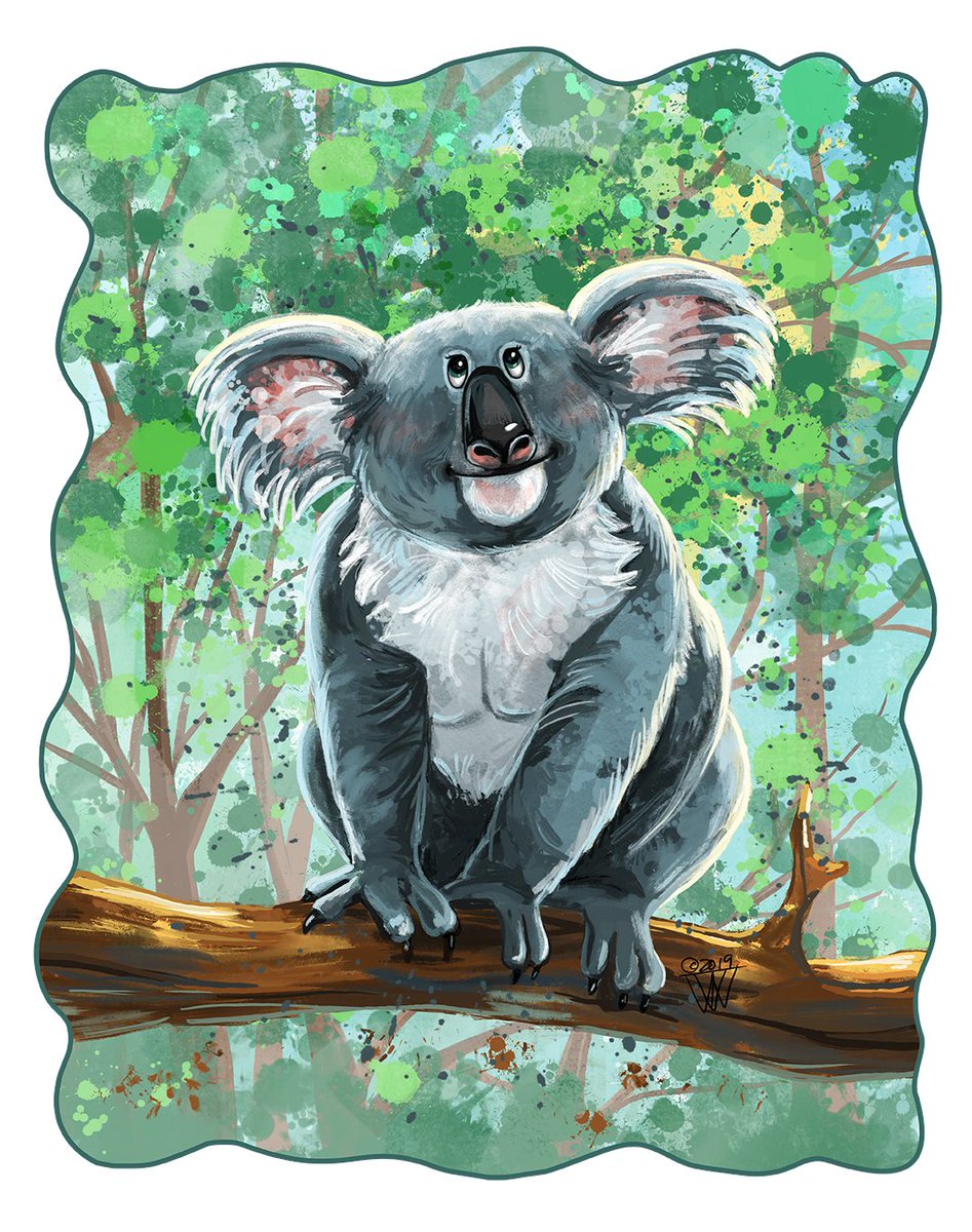 itdnyc's tweet photo. @NorthStarGames How about Koala Bears? They are too cute! https://t.co/cMmAVAFlJG