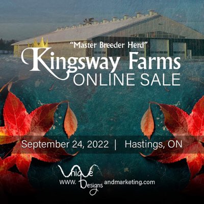 #NewProfilePic Approximately 30 head selling from the top of our herd. ~20 milk cows, ~10 heifers, and a few embryo lots.