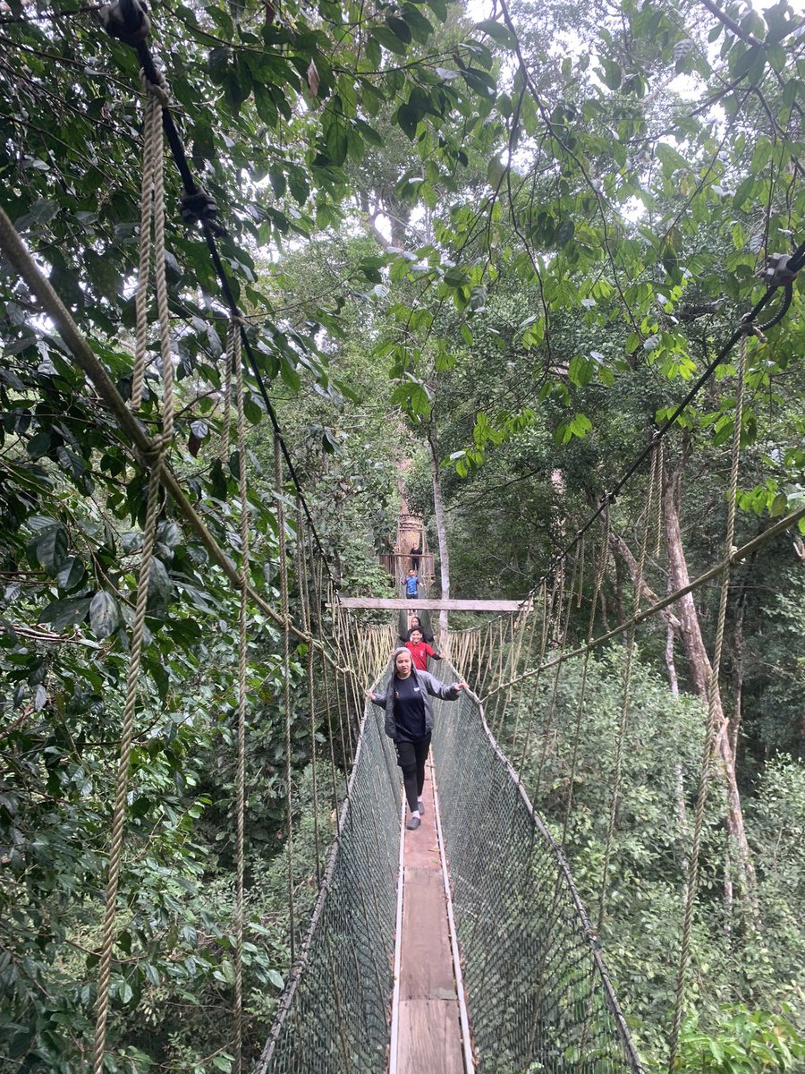 Amrlamnnn's tweet photo. Korang yang suka camping tu baik baca thread ni sebab yon rasa tempat ni macam underrated sangat padahal best gila kalau nak bercamping dan buat aktiviti-aktiviti manjah!

Ini adalah bebenang short escape Taman Negara! https://t.co/EifFHjVjvF