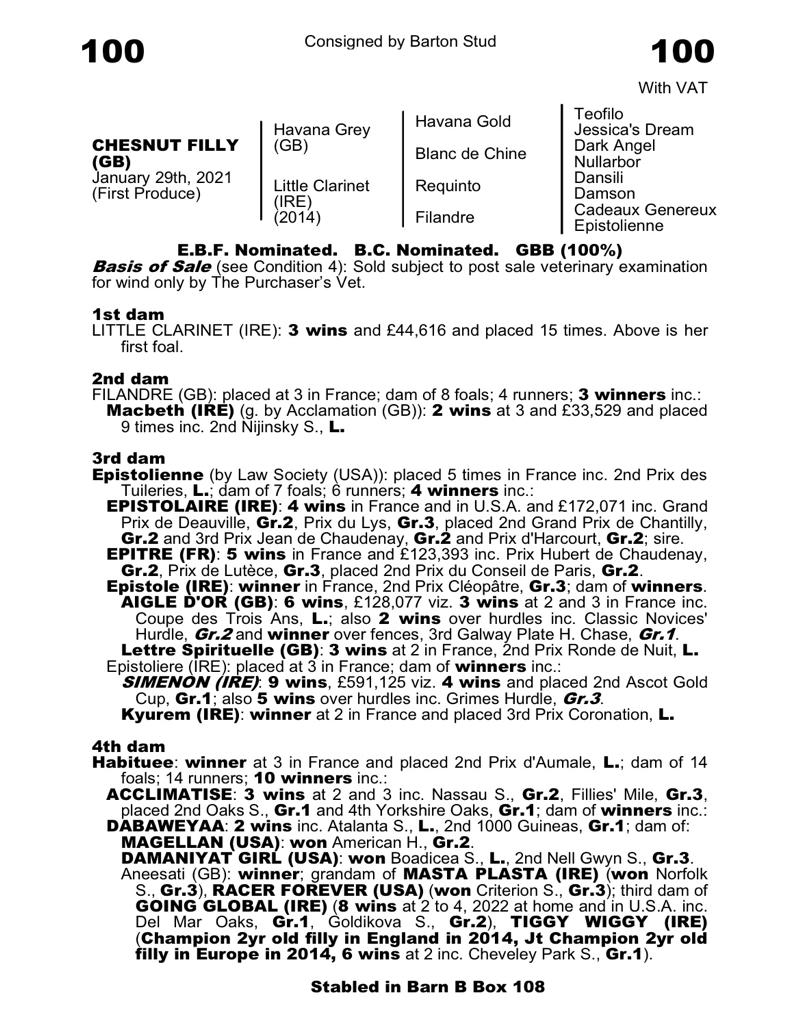 meg_nicholls97's tweet photo. Delighted to purchase this gorgeous daughter of leading first season sire, Havana Grey (@WhitsburyManor). She will be heading to @cbhills. #findingwinners @GoffsUK @BartonStud1 https://t.co/hQpJkJmOev