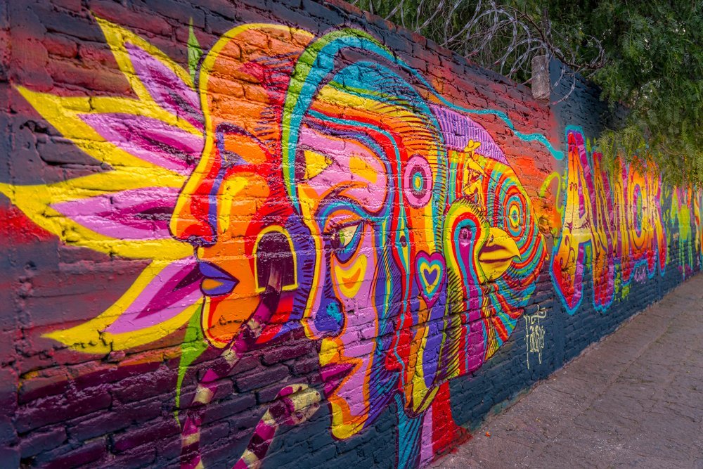 SeniorLivingSMA's tweet photo. Images of Mexico
I am in love with the murals of San Miguel.  They are so colorful, vibrant, and powerful.   What a feast for the eyes! (image borrowed from Ian Gough on Facebook)
#SanMigueldeAllende #caregiving https://t.co/K8Fe4LtWxG