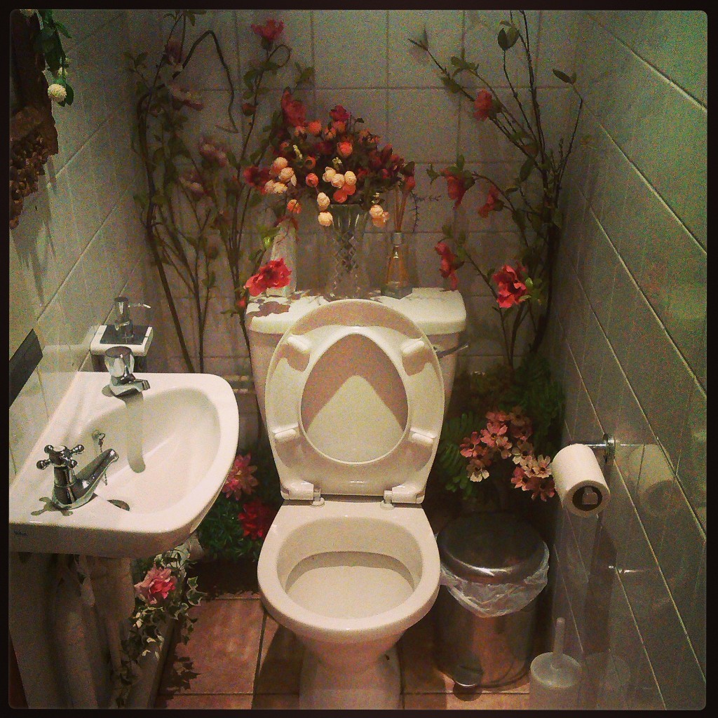 Avoid septic system failure by NOT flushing garbage in the toilet. But if the problem is already there, let our experts take care of it.