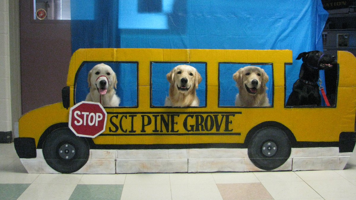 CorrectionsPA's tweet photo. The #PrisonPups from SCI Pine Grove didn’t get a summer vacation, but they still wanted to celebrate #FirstDayPA with all the students throughout Pennsylvania and wish everyone an awesome school year! https://t.co/DJL2o959D1