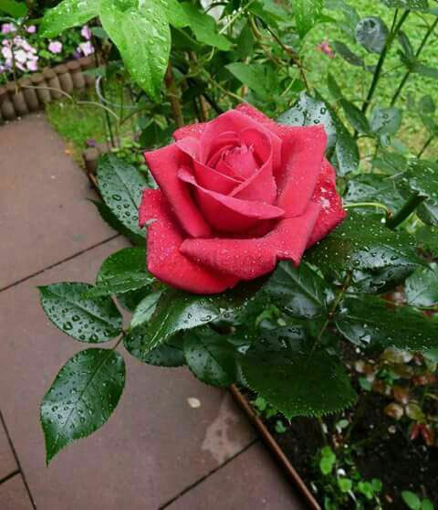 BenaliBousada's tweet photo. https://t.co/2CQgg8XRxT