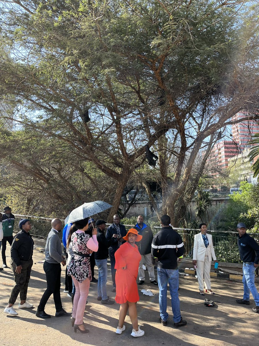 Office of the MMC: Economic Development tweet media