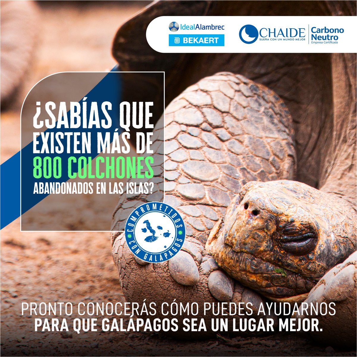 ChaideOficial's tweet photo. ♻Comprometidos con #Galápagos queremos cambiar esta realidad.
🔜Pronto conocerás cómo puedes unirte a esta iniciativa.
Chaide e @IdealAlambrecB juntos por un mundo mejor. 🍃💦🌎
#Chaide #CuidadoAmbiental #ResponsabilidadSocial #Compromiso #SueñaConUnMundoMejor https://t.co/HmFKGWyK4w