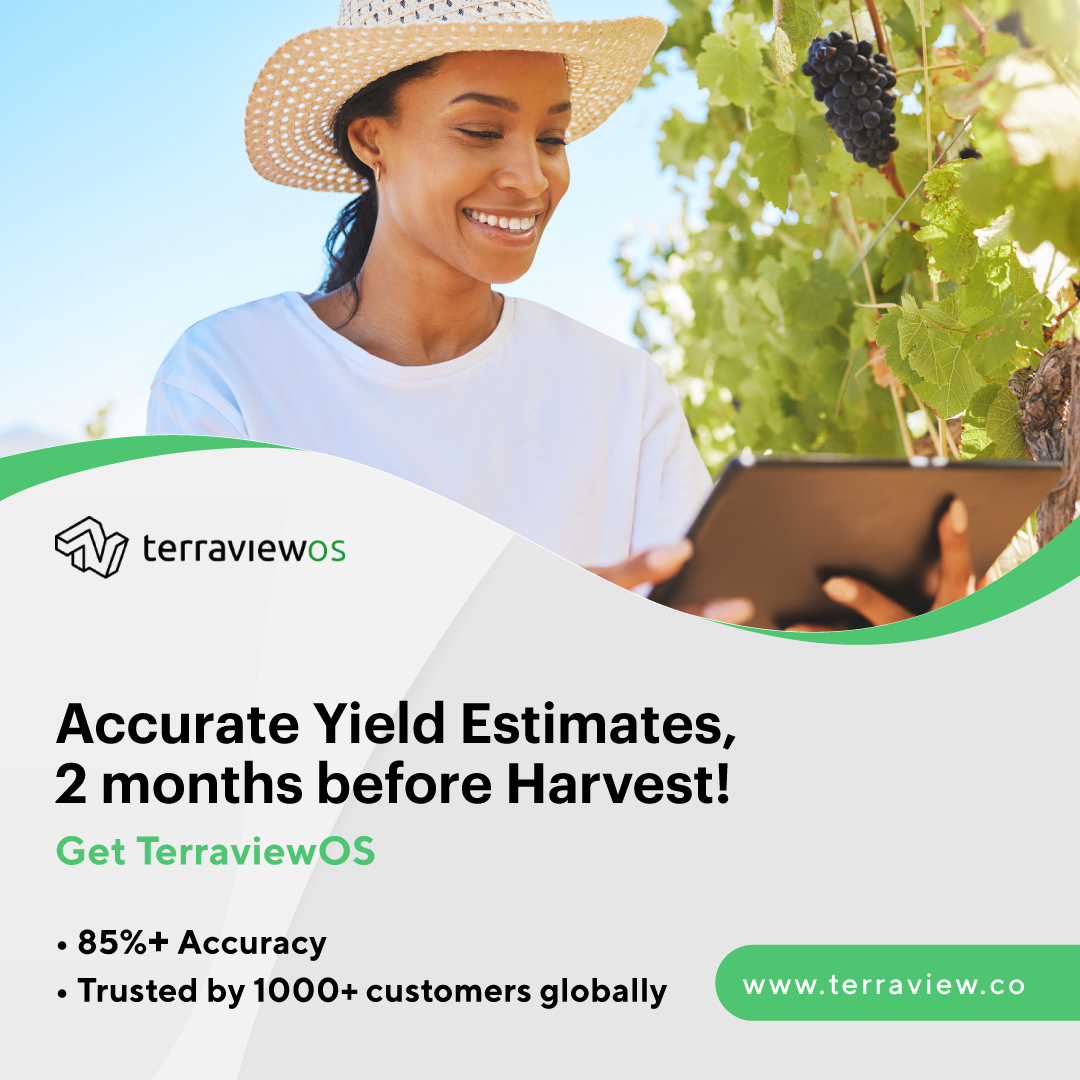 terraviewos's tweet photo. Get early access to accurate yield estimates at less than 50% of the current cost. Signup for TerraviewOS today!
Visit https://t.co/yYwy0YOaE8

#terraviewos #wineries #vineyard #accurate #yieldestimates #signup #savemoney #savetime #vineyardowner https://t.co/JaLM2VxD1e