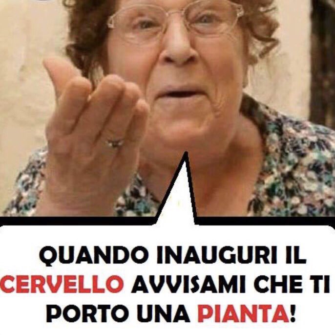 Ardito98731919's tweet photo. @stanzaselvaggia https://t.co/aBZiljf7Vj